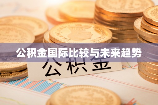 梁山公积金国际比较与未来趋势