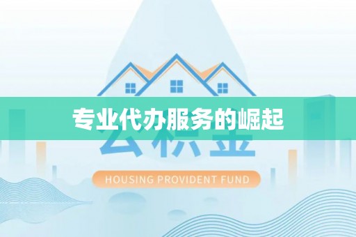 梁山专业代办服务的崛起