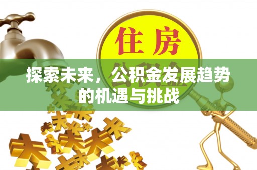 梁山探索未来，公积金发展趋势的机遇与挑战