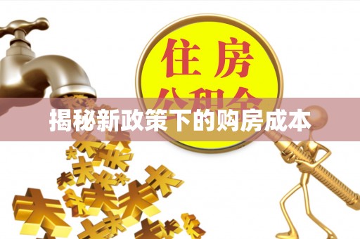 梁山揭秘新政策下的购房成本