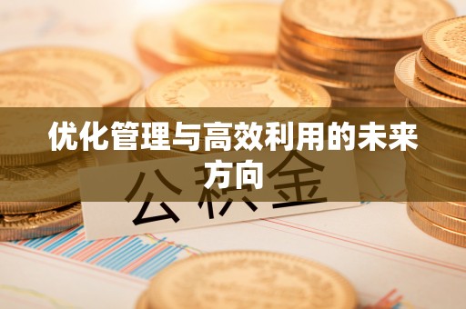 梁山优化管理与高效利用的未来方向