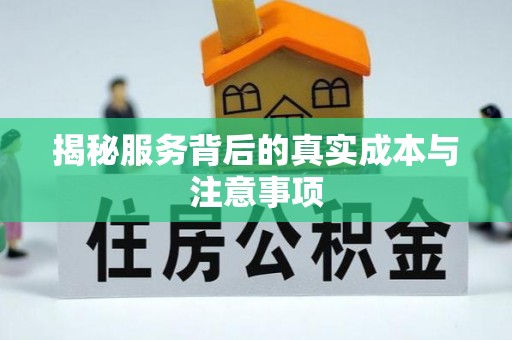 梁山揭秘服务背后的真实成本与注意事项