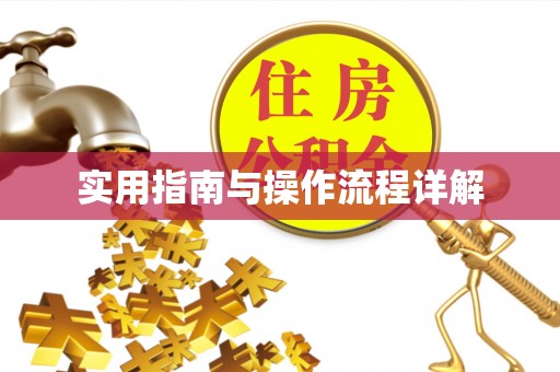 梁山实用指南与操作流程详解