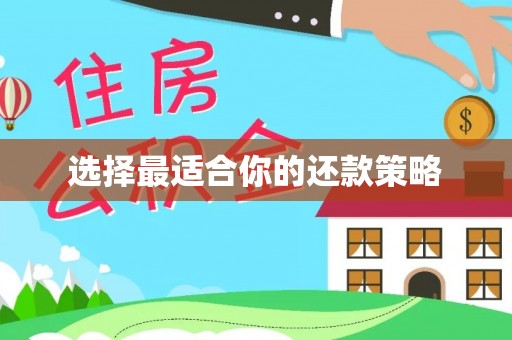 梁山选择最适合你的还款策略