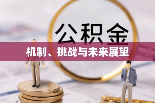 梁山机制、挑战与未来展望